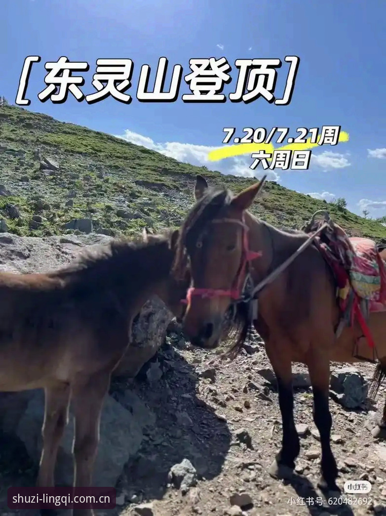 揭秘中国区数字灵气坐标注册入口：幻影App PC与安卓端体验背后的真相